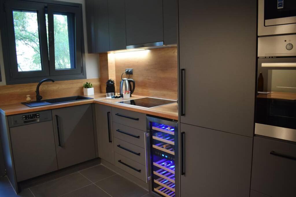 Ockto Luxurious Business Travel Apartment Athènes Extérieur photo
